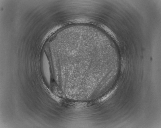 X0000080810930200701051146