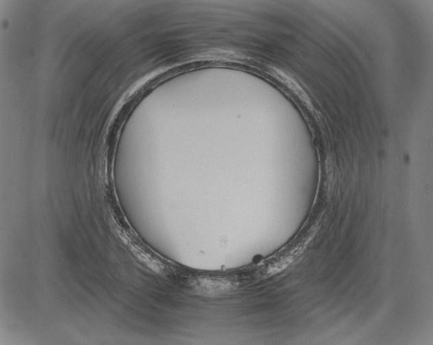 X0000080810931200701051146