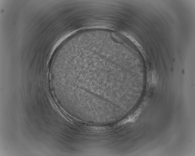 X0000080810933200701051146