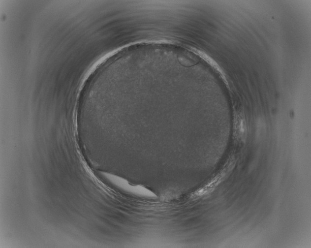 X0000080810935200701051146