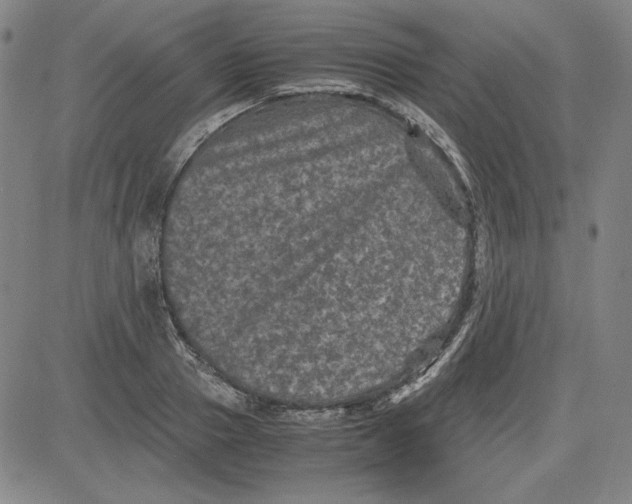 X0000080810937200701051146