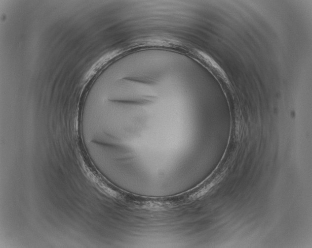 X0000080810938200701051146