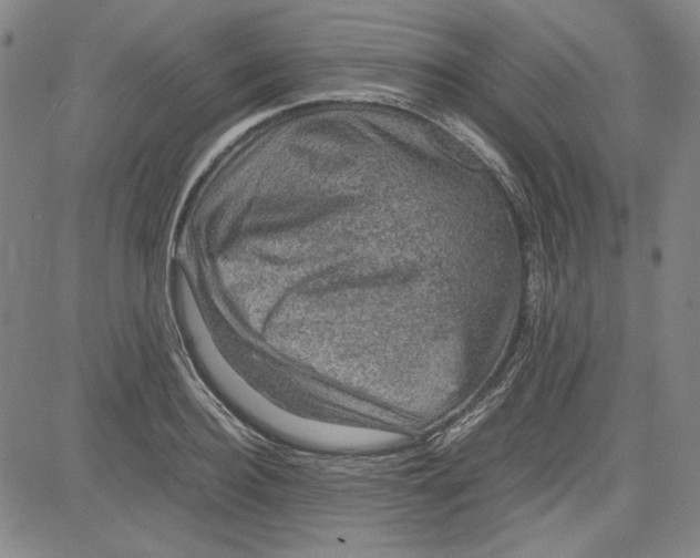 X0000080810940200701051146