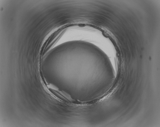 X0000080810941200701051147