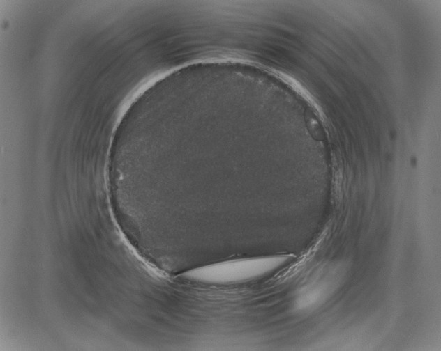 X0000080810943200701051147