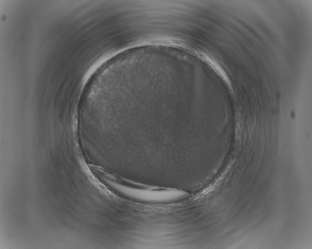 X0000080810944200701051147