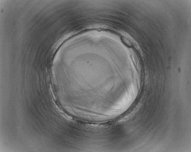 X0000080810945200701051147