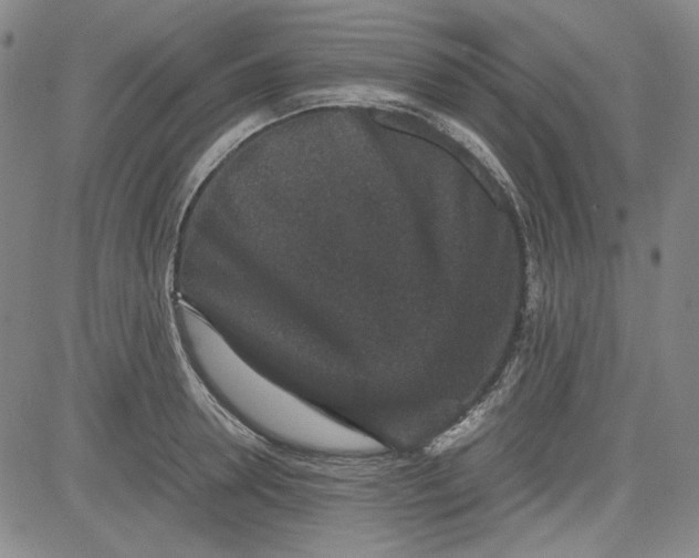 X0000080810946200701051147