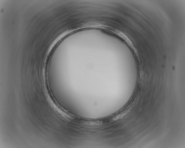 X0000080810947200701051147