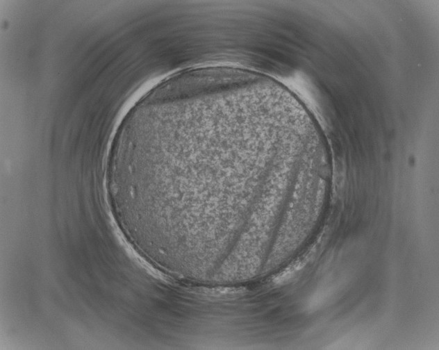 X0000080810949200701051147