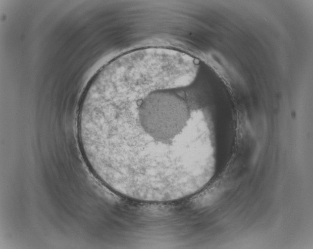 X0000080810950200701051147