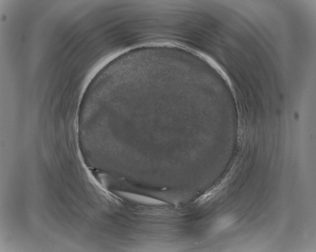 X0000080810951200701051147