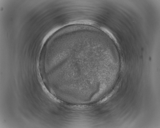 X0000080810952200701051147