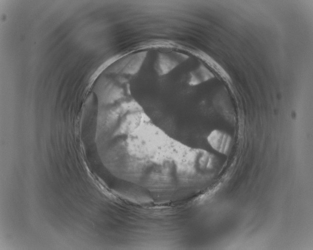 X0000080810953200701051147