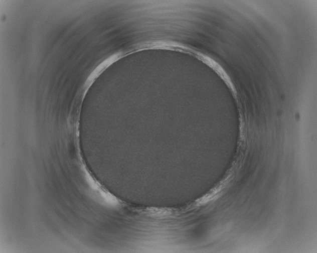 X0000080810954200701051147