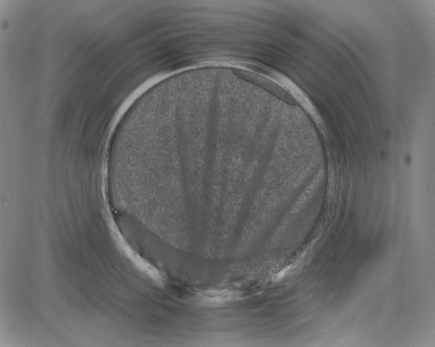 X0000080810955200701051147