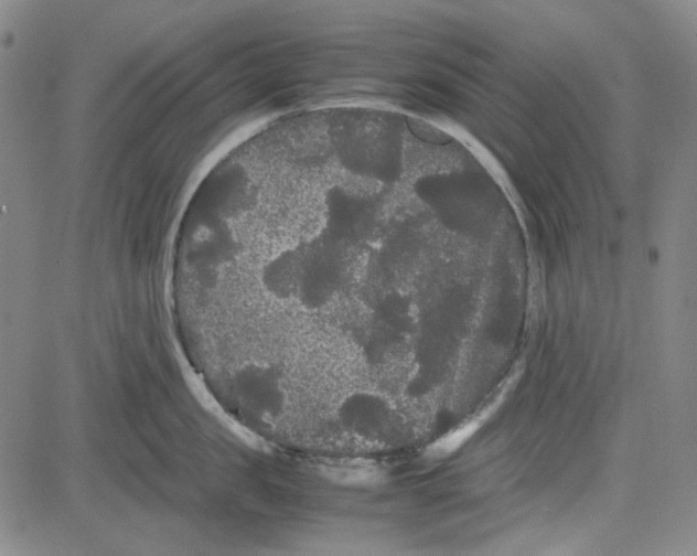 X0000080810957200701051147