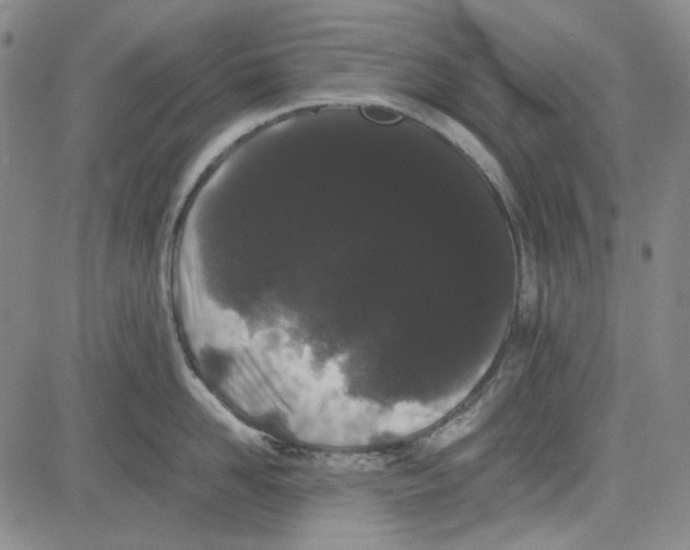 X0000080810958200701051147