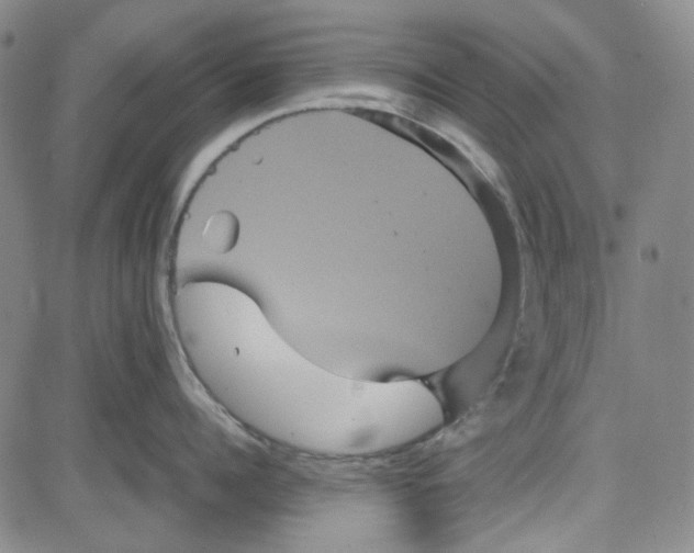 X0000080810960200701051147