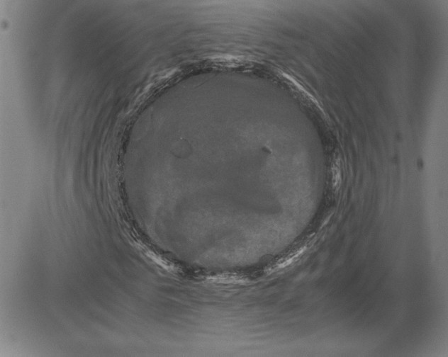 X0000080810961200701051146