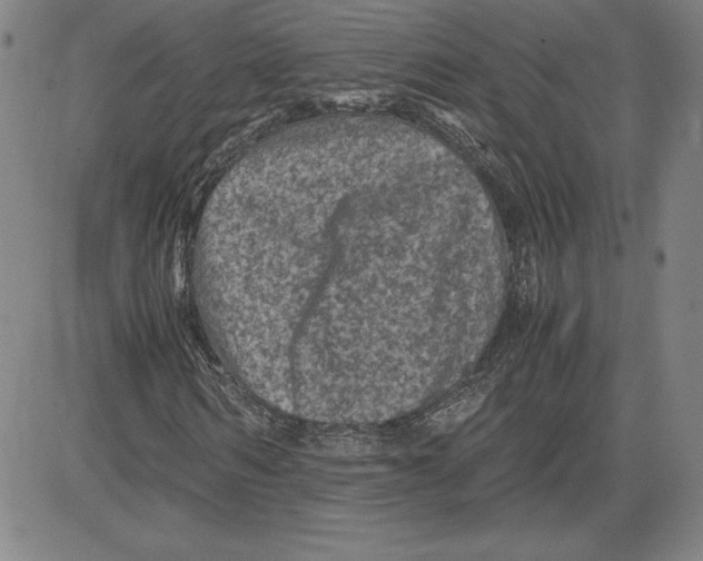 X0000080810962200701051146