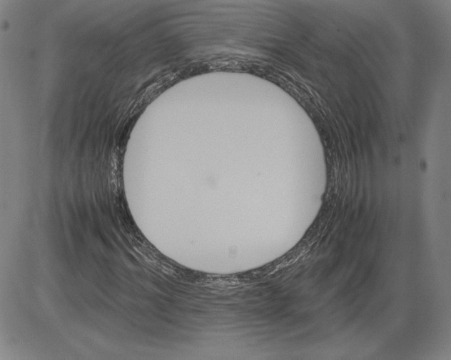 X0000080810964200701051146