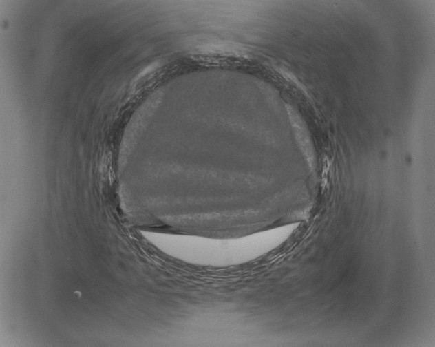 X0000080810965200701051146