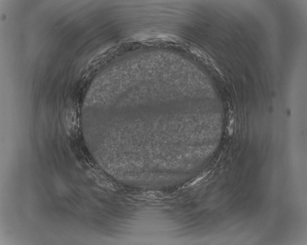 X0000080810966200701051146