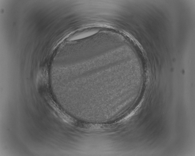 X0000080810969200701051146