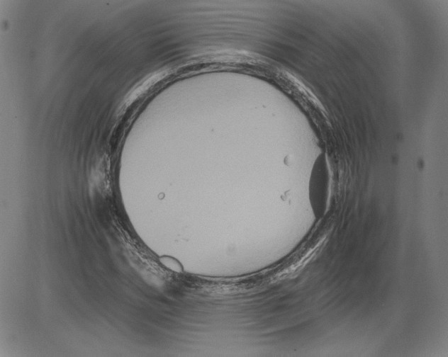 X0000080810970200701051146