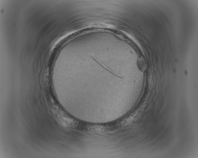 X0000080810971200701051146