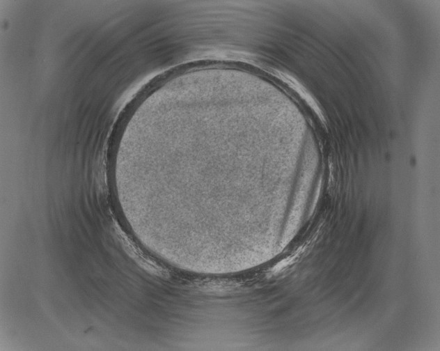 X0000080810972200701051146