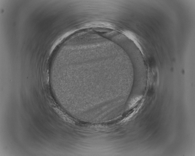 X0000080810973200701051146