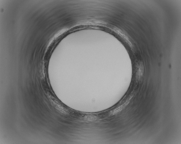 X0000080810974200701051146