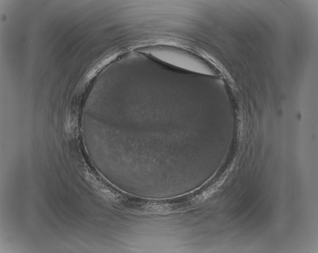 X0000080810977200701051146