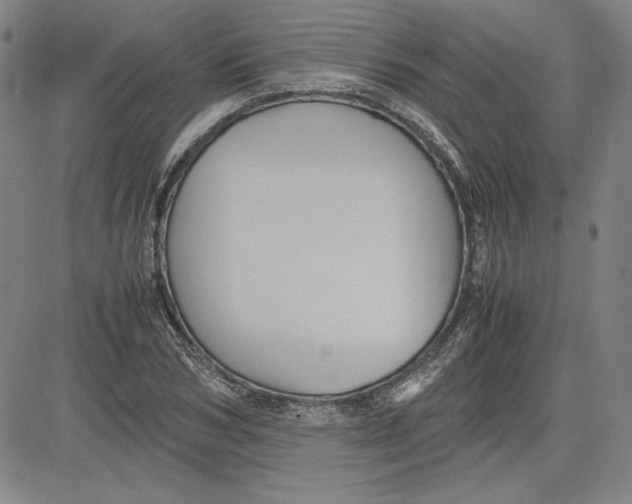 X0000080810978200701051146