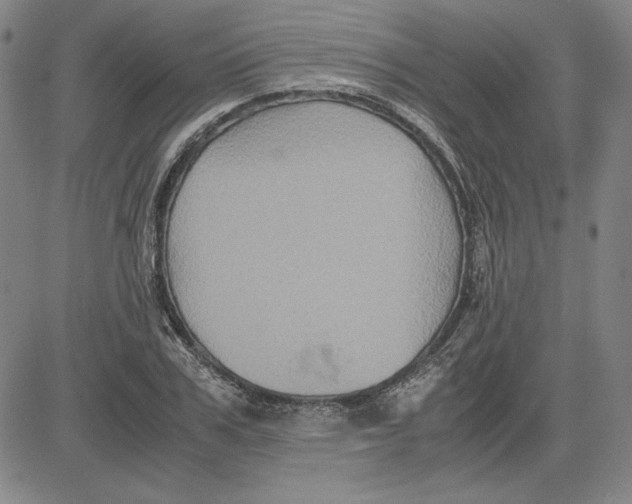 X0000080810979200701051146