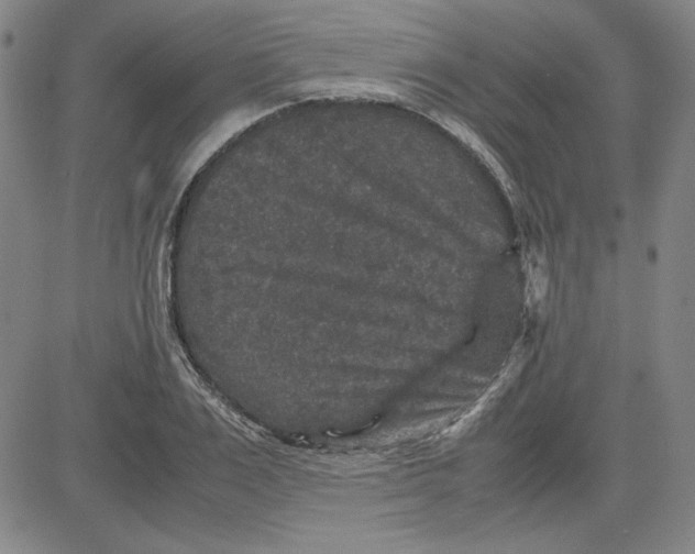 X0000080810983200701051146