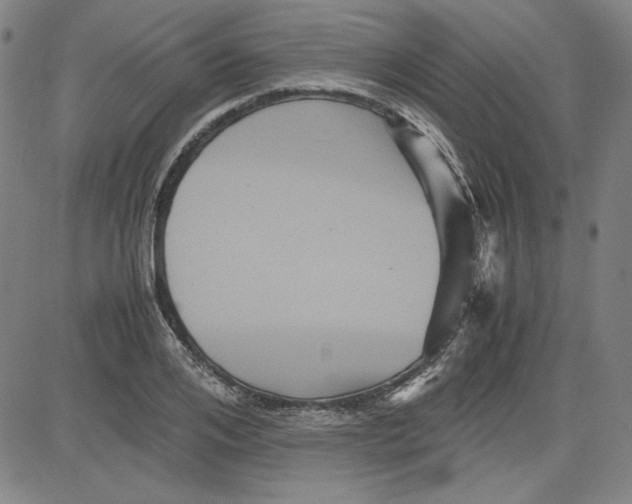 X0000080810984200701051146