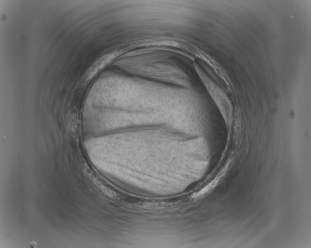 X0000080810985200701051146