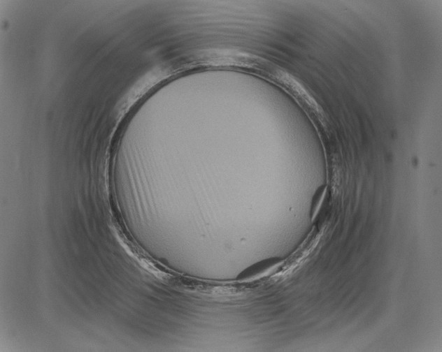 X0000080810986200701051146