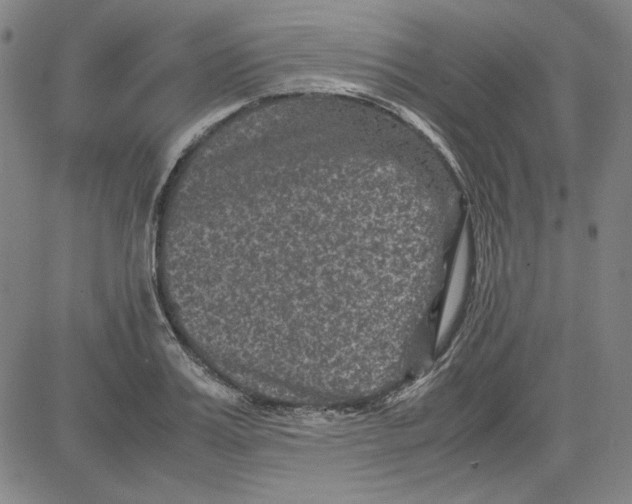 X0000080810987200701051146