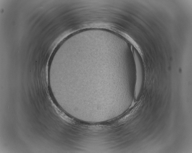 X0000080810988200701051146