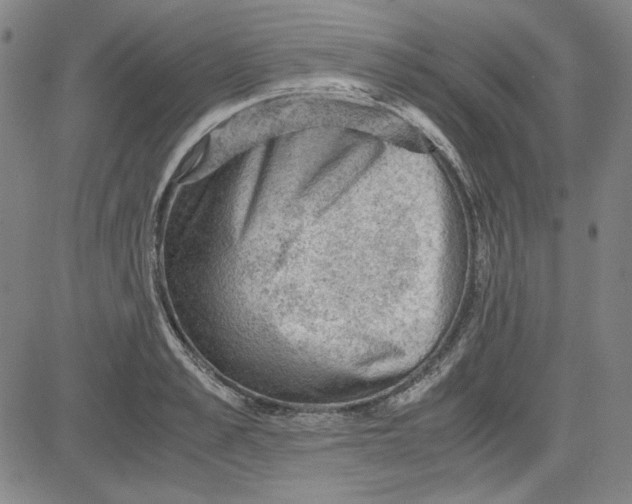 X0000080810989200701051146