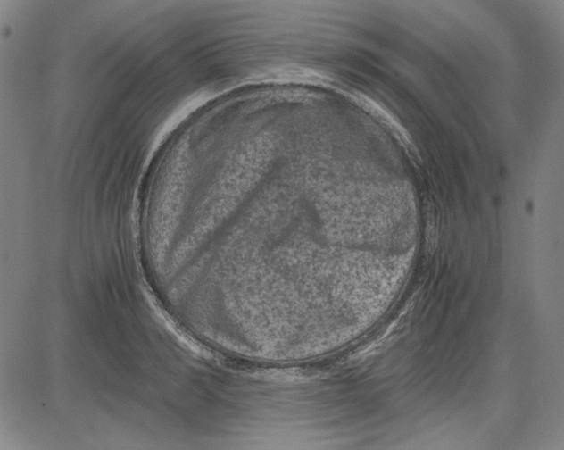 X0000080810990200701051146