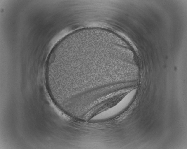 X0000080810991200701051146