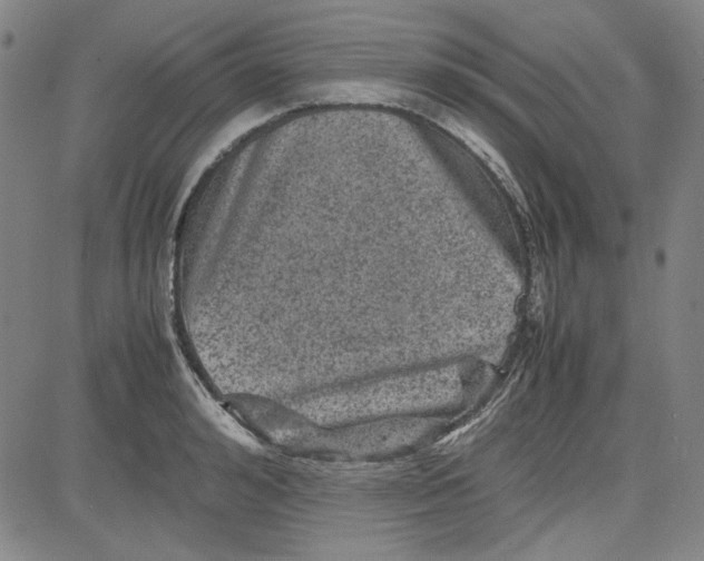 X0000080810992200701051146