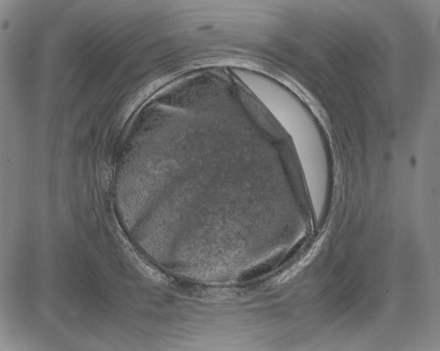 X0000080810993200701051146