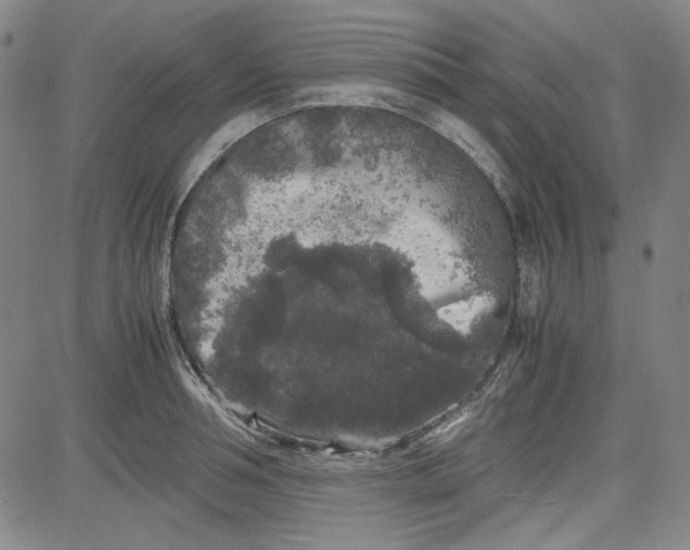 X0000080810994200701051146