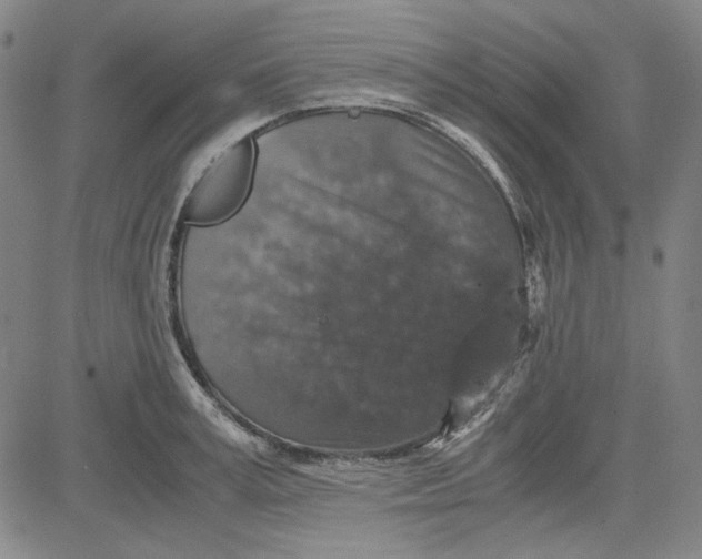 X0000080810995200701051145